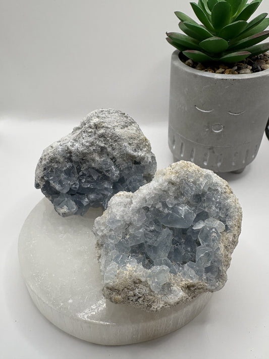 Celestite Clusters