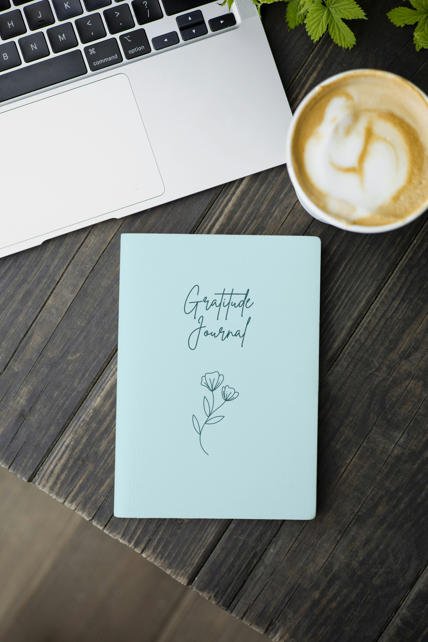 Gratitude Journal/ Daily Gratitude Journal/ Gratitude Journaling/ Daily Journaling/ Journaling